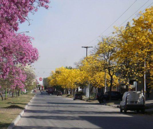 El invierno hizo un paréntesis para regalar una jornada primaveral