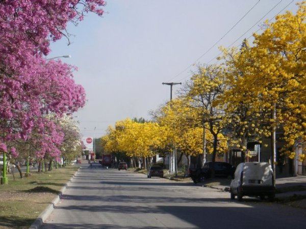 tucuman-primavera