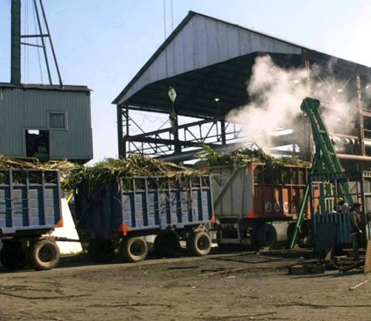 Cuatro ingenios paralizaron la molienda de caña debido a la falta de agua