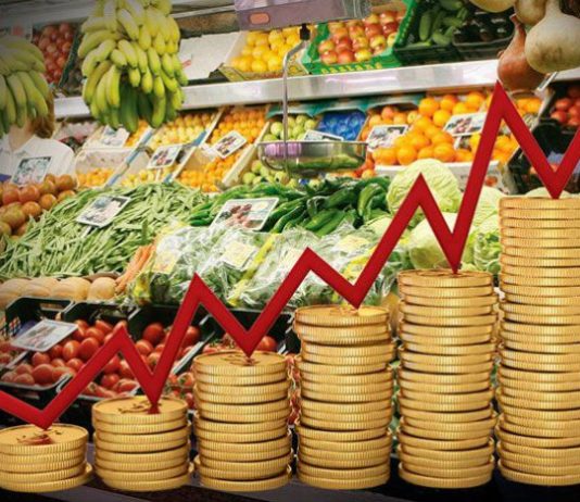 EL PRECIO DEL TOMATE CAUSA ESPANTO EN LAS FAMILIAS TUCUMANAS
