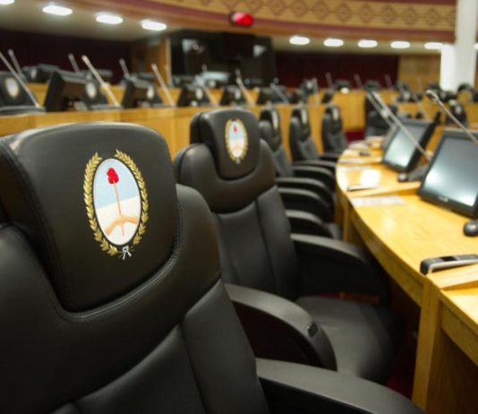 Por ley, los “patovicas” deberán tener un certificado habilitante