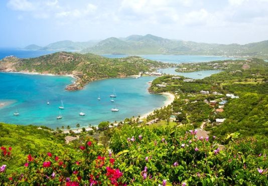 El amargo infierno creado por los británicos que fueron por el azúcar de las islas caribeñas