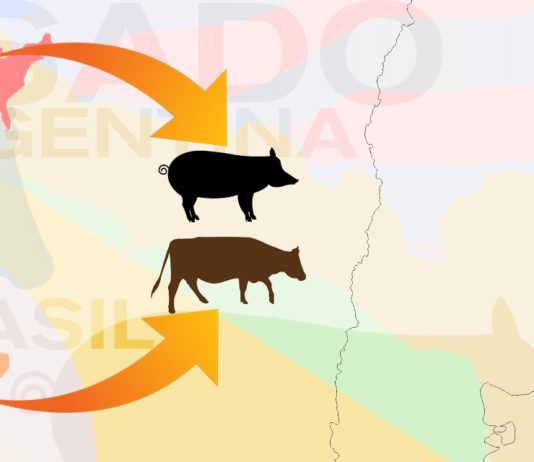 El Gobierno ahora autorizó la importación de carne vacuna desde Brasil