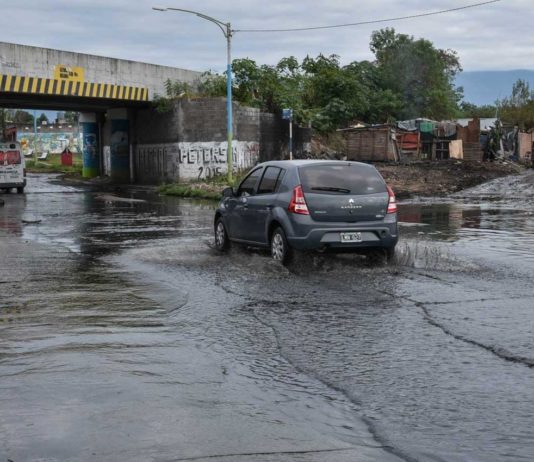 Alfaro busca 100.000 firmas para que se intervenga a la SAT