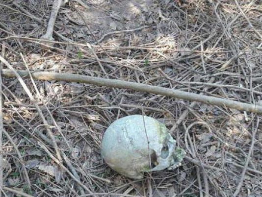 Fueron al monte a buscar leña y se dieron con un cráneo humano