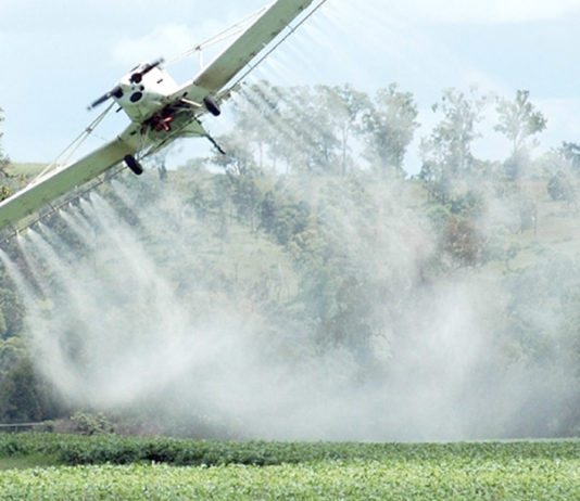 Gualeguaychú, la ciudad que no toma agua de la canilla por miedo al cáncer