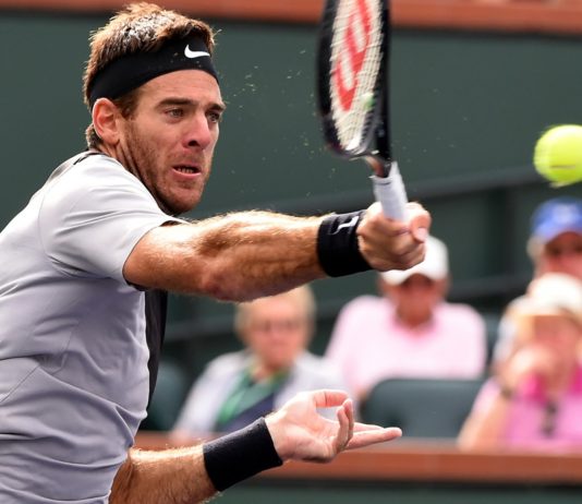 Juan Martín del Potro venció a Leonardo Mayer y avanzó a los cuartos de final de Indian Wells