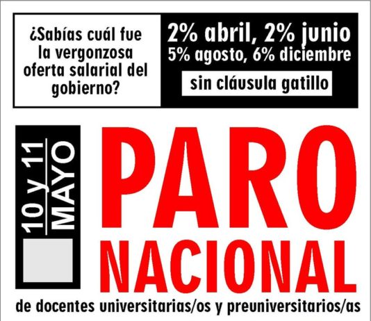 Docentes universitarios convocaron a un paro nacional para el 10 y 11 de mayo
