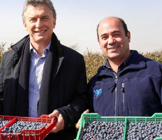 Video: así fue la visita de Macri a un campo de arándanos en Tucumán