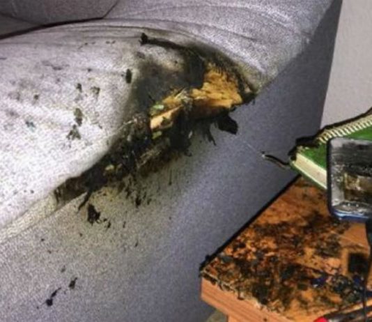 El smartphone de un pequeño explotó mientras la familia dormía