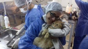 En Colalao del Valle 53 mascotas recibieron atención gratuita