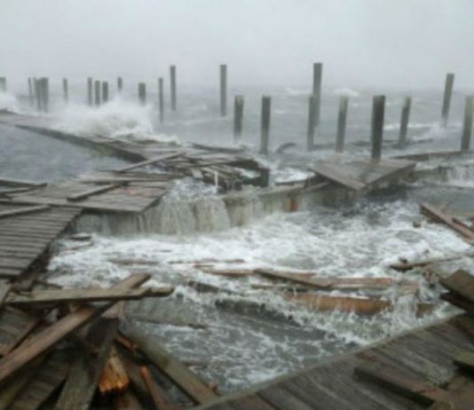 Florence dejó al menos cinco muertos en Estados Unidos