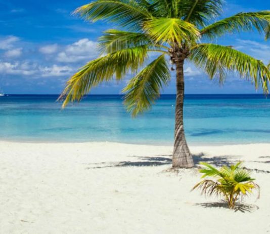Tucumán podría tener vuelos al Caribe y a Florida, en Estados Unidos