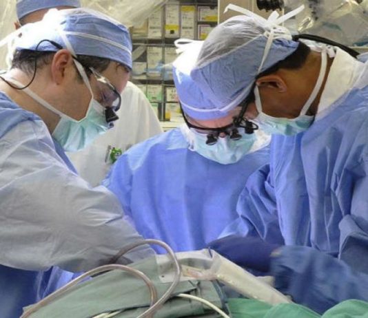 Tenía nueve dientes ¡En el cerebro! mirá la épica historia del niño que concurrió a la guardia por un dolor de cabeza