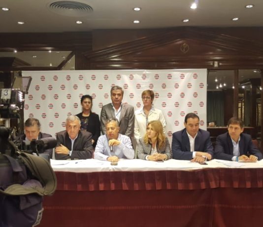 La UCR buscará una fórmula propia o un candidato a vicepresidente en 2019