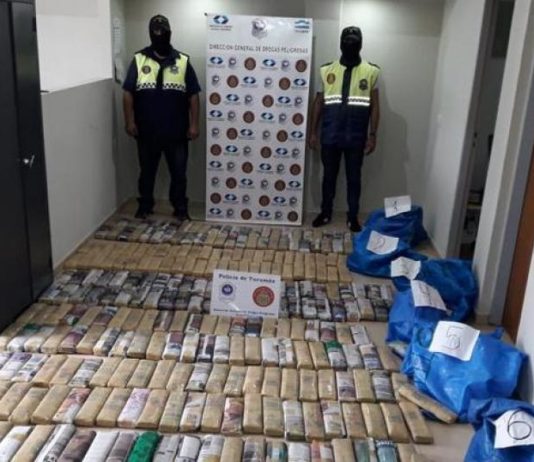 Secuestran 150 kilos de hojas de coca en una de las principales avenidas tucumanas