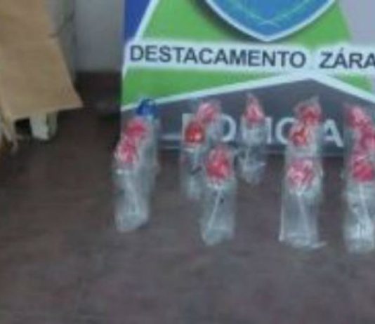 Una banda de Piratas del asfalto cayó en Campana