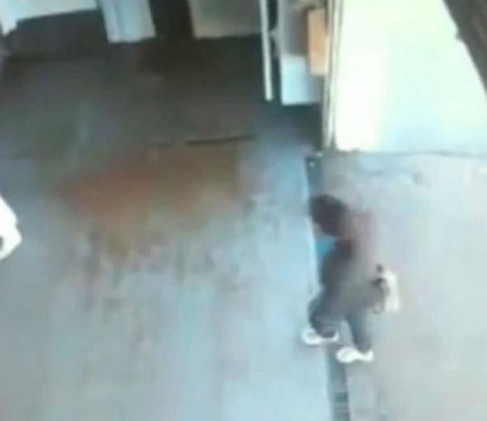 Delincuentes mataron de un tiro a un contador en un frigorífico