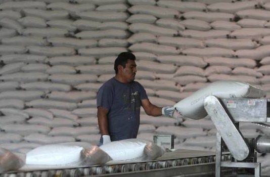 Serían varios los ingenios que no podrían moler en 2019