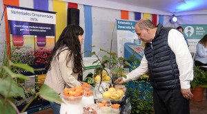 manzur_educatec_nn-7