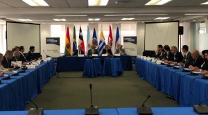 manzur-oea-arrighi-5