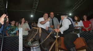 Más de 40.000 personas disfrutaron del XXII Festival del Caballo