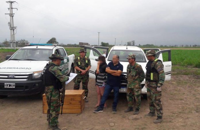 La pareja detenida en Alberdi integraba una banda narcocriminal y operaba en distintos puntos del país_5dbc72e636bab.jpeg