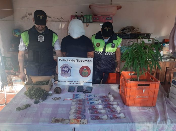 Megaoperativo de la Digedrop: secuestran drogas, armas y motos en el sur de la provincia_5df12ed7bd118.jpeg