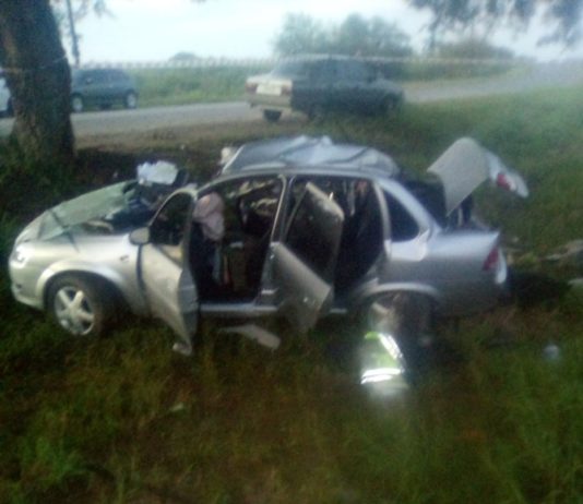 Un policía se dirigía a cumplir su labor, chocó con su auto y murió