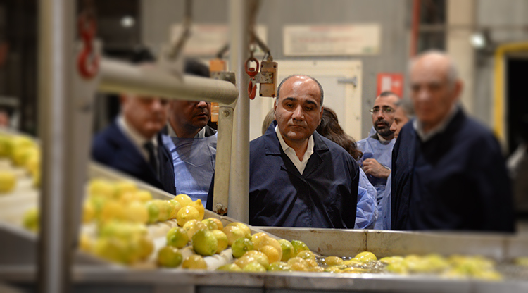 manzur-zamora-citrus-21