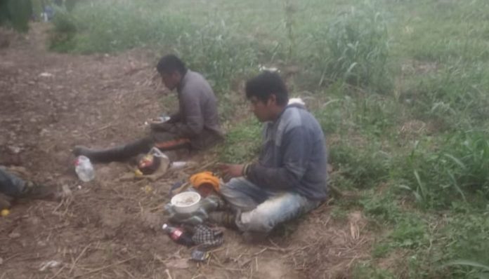 Trabajo esclavo en Salta: Allanan la finca de un ex intendente de Pichanal_5ee3c2b8d7397.jpeg