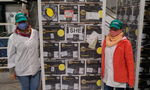 Tucumán envió su primer carga de limones a China