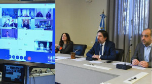 Trotta con Manzur videoconferencia