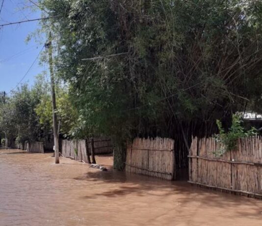 Desbordó el río Colorado y hubo que asistir a familias de la zona