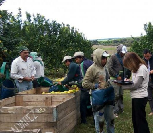 Intercosecha: La tarjeta «Inclusión Social» beneficiará a 21.000 trabajadores