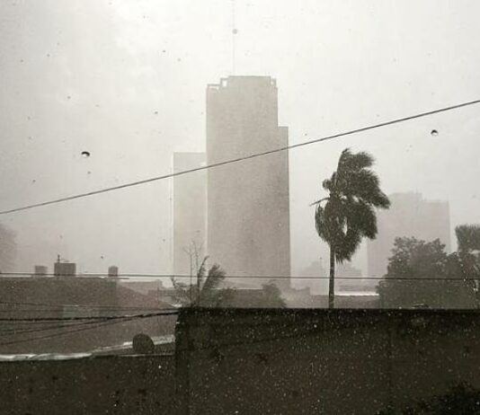 La tormenta dejó árboles caídos en la capital