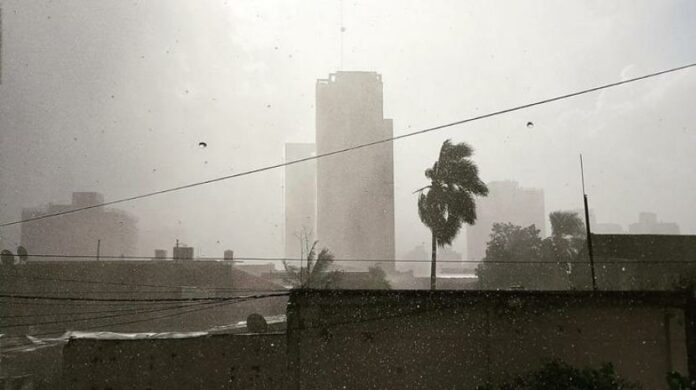 La tormenta dejó árboles caídos en la capital_603c26431c47d.jpeg
