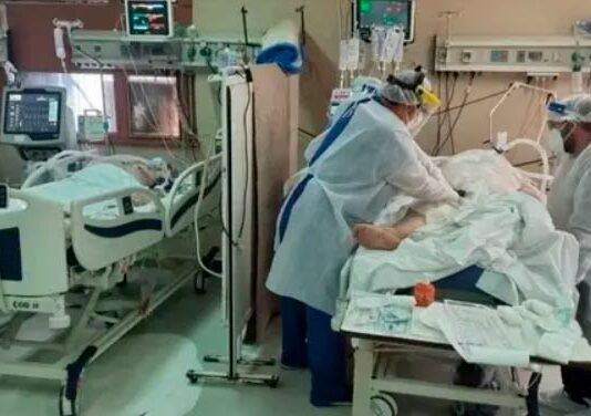 La respiración por el ano es posible y podría suplantar a los respiradores Respiracion anal