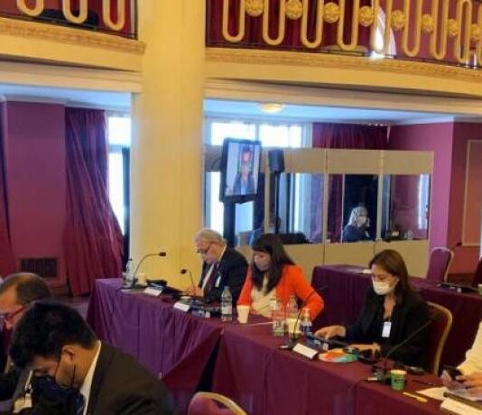 Parlamentarios del Mercosur proponen un reconocimiento a personas ilustres