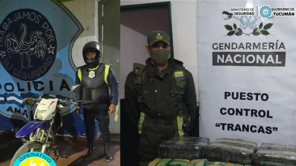 Gendarmería secuestró 17 kilos de hojas de coca