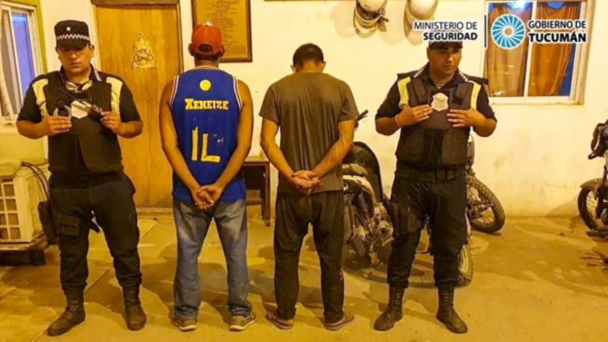 Secuestraron un cargamento ilegal de hojas de coca