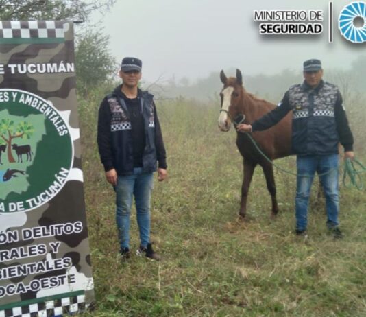 Simoca: Policía recuperó una yegua que había sido robada