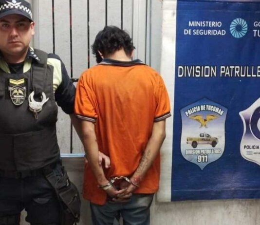 Había efectuado el robo de un bolso y fue capturado