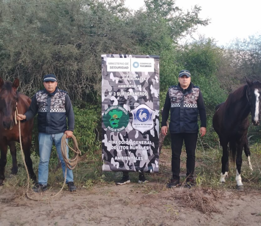 Recuperan dos caballos que habían sido robados en La Madrid