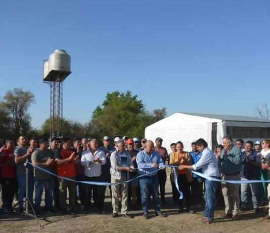 La producción porcina de La Cocha avanza a paso firme y se posiciona a nivel regional