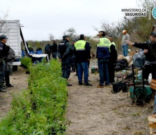 Sacan de circulación alrededor de 25 millones de dosis de marihuana