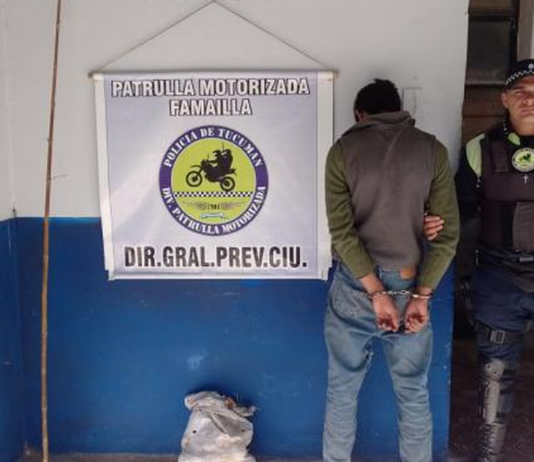 Detenido por robar paltas y estar evadido de la Justicia