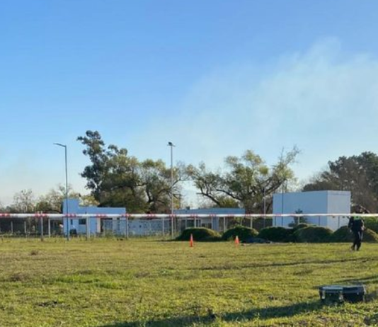 Niño murió tras el ataque de perros: A él lo movieron