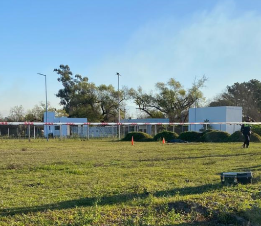 Un niño murió atacado por perros en Concepción