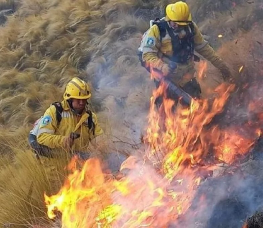 más de 6.000 hectáreas fueron afectadas por el fuego